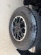 2025 Toyota Tacoma Hybrid TRD Off Road